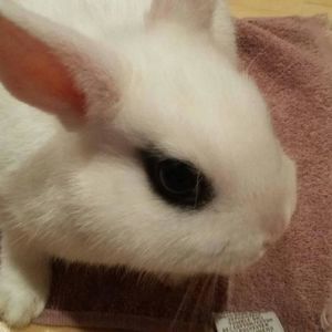 Meet your Posher, Victoria